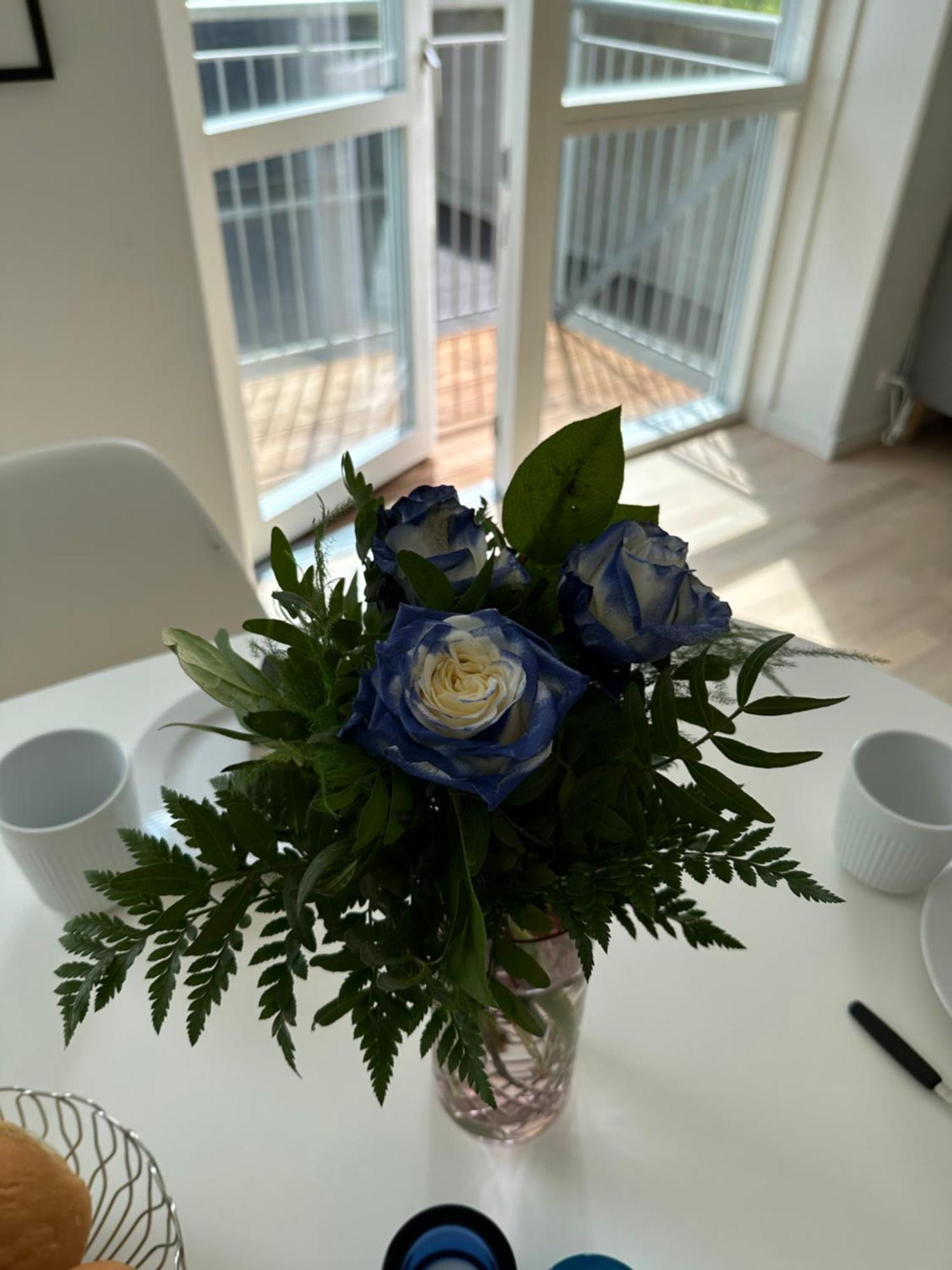 Luxury New Cozy And Quietly 95M2 Leilighet Tórshavn Eksteriør bilde